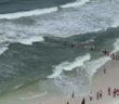 Beachgoers Form Human Chain to Rescue Swimmer From Rip Current