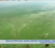 Swimmers warned to avoid Moses Lake due to toxic algae