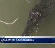 A 7-foot crocodile was swimming in an Ohio creek as elementary school kids played in the water