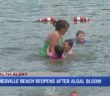 Jamesville Beach reopens for swimmers