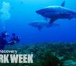 Rare Shark Brothers Spotted in Australia | Shark Week
