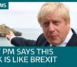 Why Boris Johnson’s swim around this rock is like Brexit | ITV News