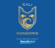 SwimOutlet Partners with International Swimming Leagueâ€™s Cali Condors
