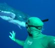 Chased Out of the Water by Playful Whales | Adam Freediver