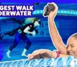 Longest underwater walk with one breath! – Guinness World Records Longest underwater walk with one breath! – Guinness World Records