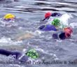 Stockholm Royal Park Aquathlon & Swim 2019