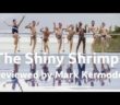 The Shiny Shrimps reviewed by Mark Kermode