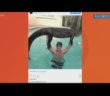 Florida man wrestles 8-foot alligator from swimming pool