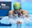 Highlights | Berlin #SWC19 | FINA Swimming World Cup 2019