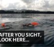 Return Your Head To This Position For Faster Swim Times | Open Water Swimming Tips