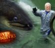Swimming With Wild Bloodthirsty Eels – River Monsters