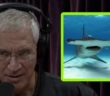 Louie Psihoyos Shares a Harrowing Tale of Swimming with Sharks