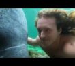 Swimming with Wild Manatees