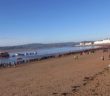 Exmouth Christmas Day Swim 2019