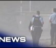 Drunk man dies while swimming at North Beach, Wollongong | 7NEWS