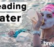 How to tread water for open water swimmers