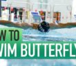 How To Swim Butterfly | Technique For Butterfly Swimming