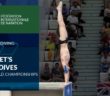 Benjamin Auffret – Top 3 dives | FINA World Championships
