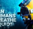 Can Humans Breathe Liquid?