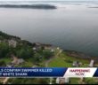 Great white shark attacks, kills swimmer off Maine coast, officials say