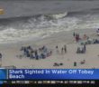 Shark Spotted In Water Off Tobay Beach