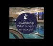 Swimming: What To Expect On Your Visit | SLTChannel