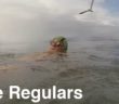 The Oldest ‘Goat’ Swimming in the Bay | The Regulars