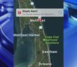 5 Cape Cod beaches closed to swimming following shark sightings