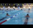 Return to the Pool: Swimmers, Coaches, and Parents