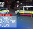 Australia shark attack: Surfer ‘mauled to death’ at netted beach on Gold Coast Australia shark attack: Surfer ‘mauled to death’ at netted beach on Gold Coast