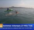 Culver City Native To Attempt 27-Mile Swim Culver City Native To Attempt 27-Mile Swim