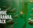 How to Survive a Piranha Feeding Frenzy
