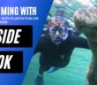 Inside Look | Swimming With the Manatees in Crystal River, Florida