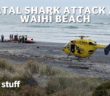 New Zealand swimmer killed in suspected shark attack