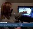 Dramatic Rescue of Dog in Frozen Swimming Pool Caught on Camera Dramatic Rescue of Dog in Frozen Swimming Pool Caught on Camera