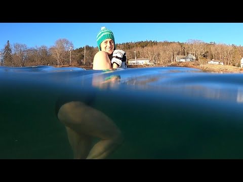 MDI Coldwater swimmers