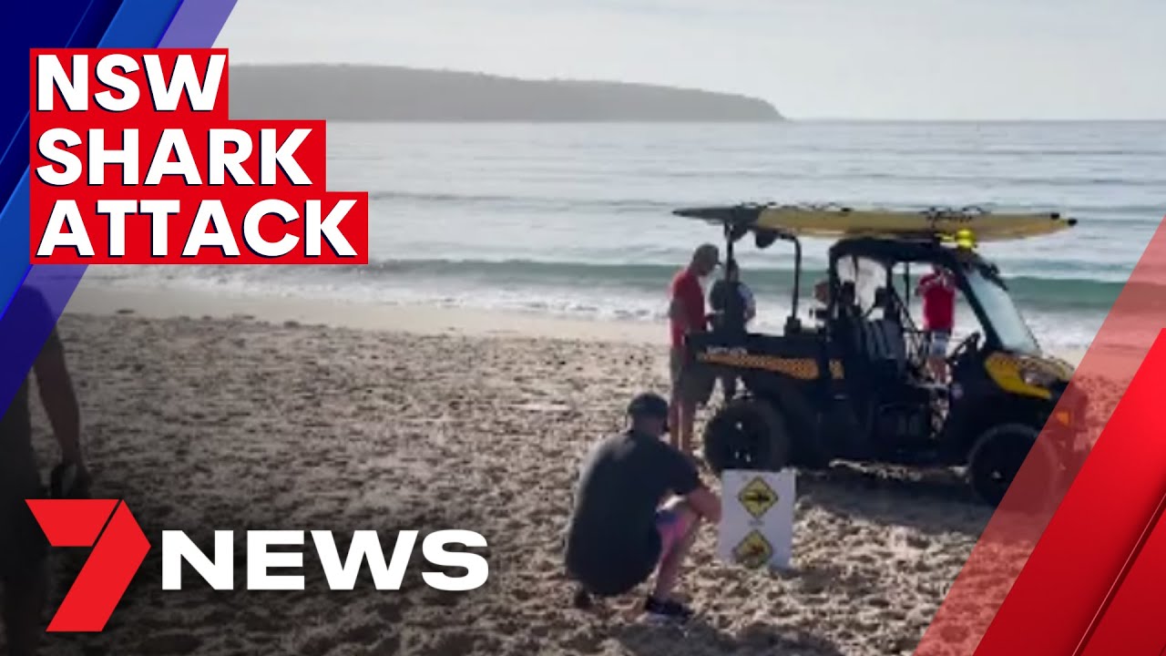 Swimmer Survives Shark Attack at Merimbula Beach