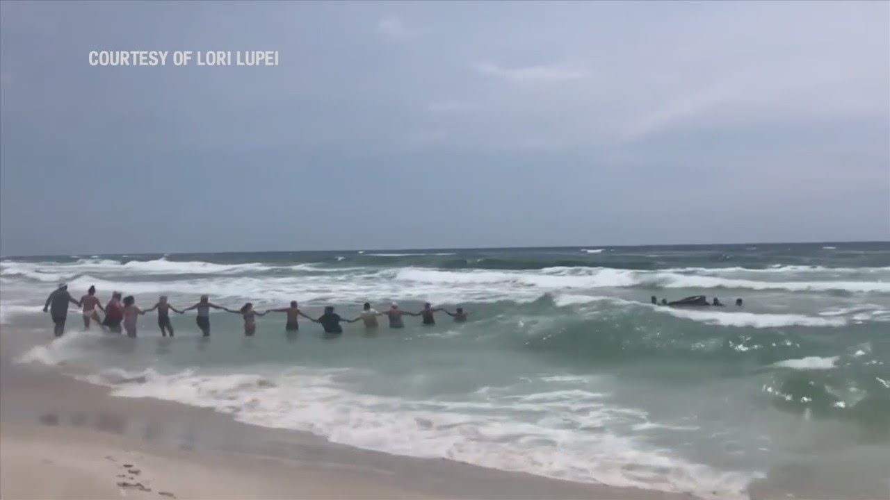 Beachgoers Form Human Chain To Save Gulf Swimmers