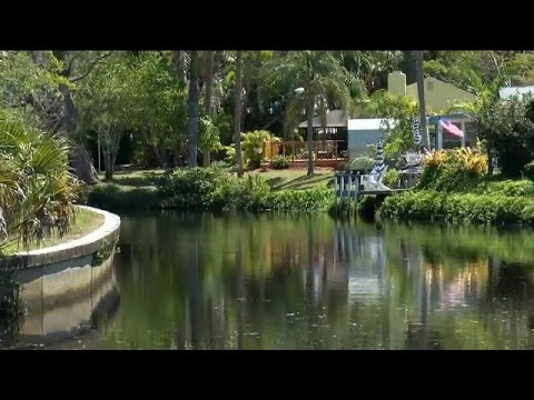 Bonita Springs Kayak Shop Bans Group for Swimming With Manatees