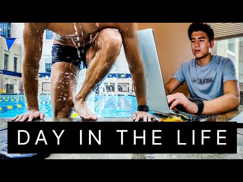 Day in the Life of a Computer Science Student-Athlete | Berkeley Swimming