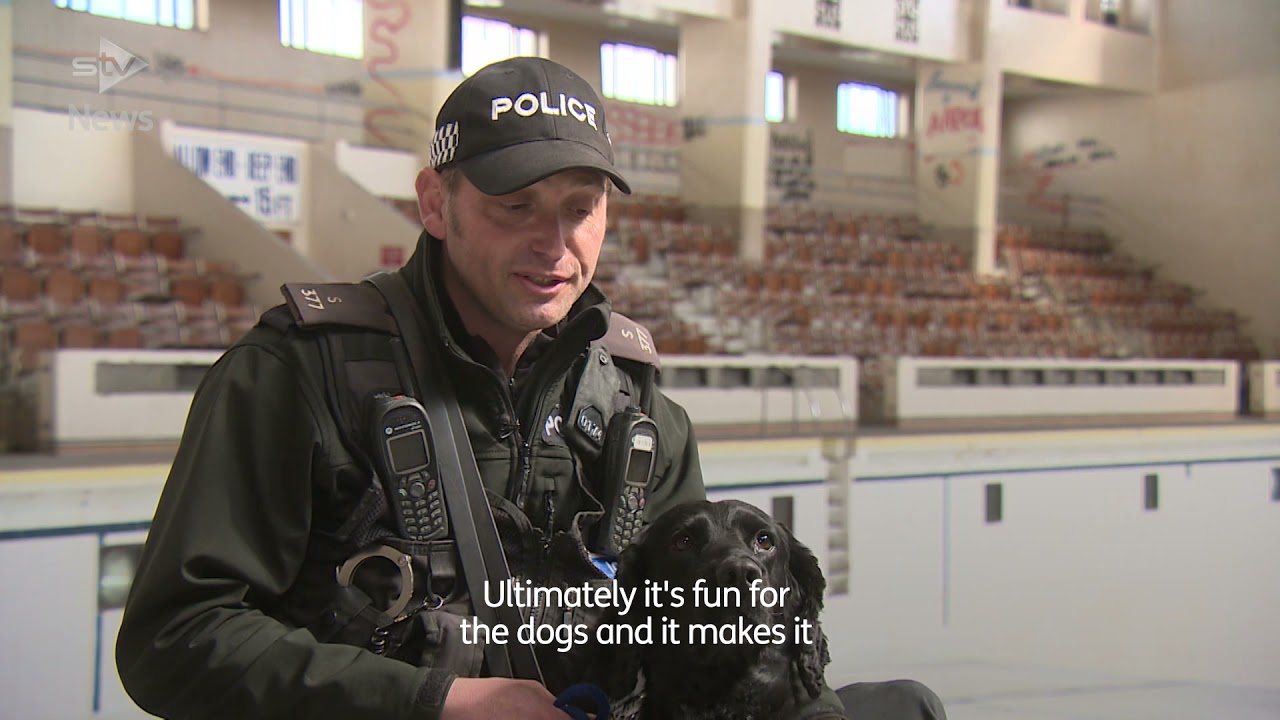 Poolside Patrol as Police Dogs Train at Old Swimming Baths