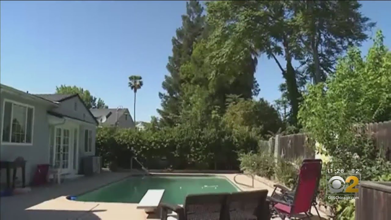 No Pool? No Problem! App Lets You Rent One | CBS Chicago