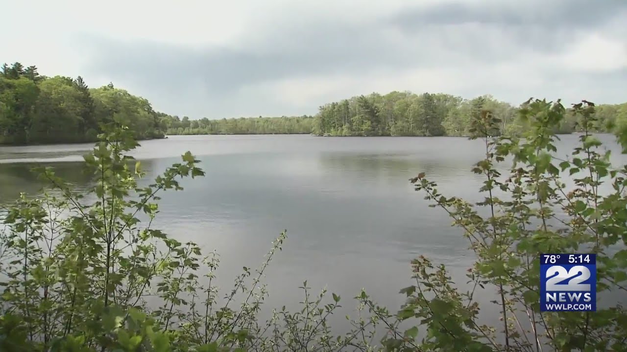 Teaching Children How to Swim at Young Age Can Save Lives