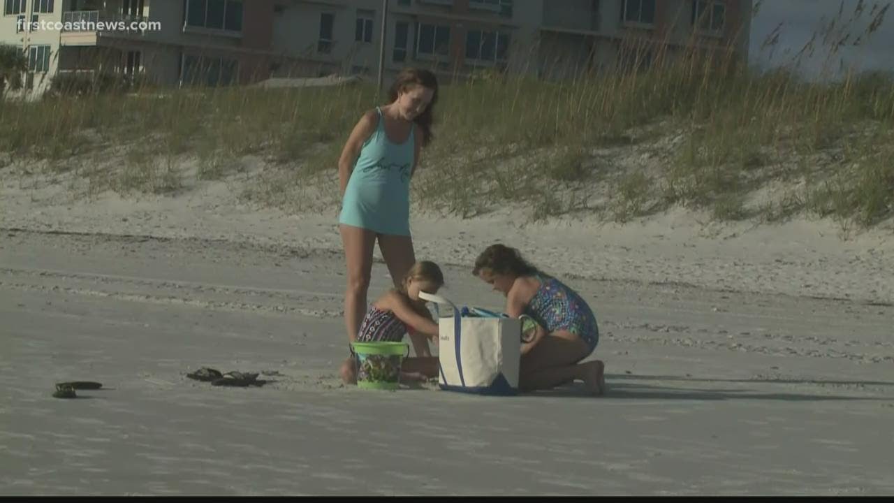 How to Protect Yourself From Possible Shark Attacks | First Coast News