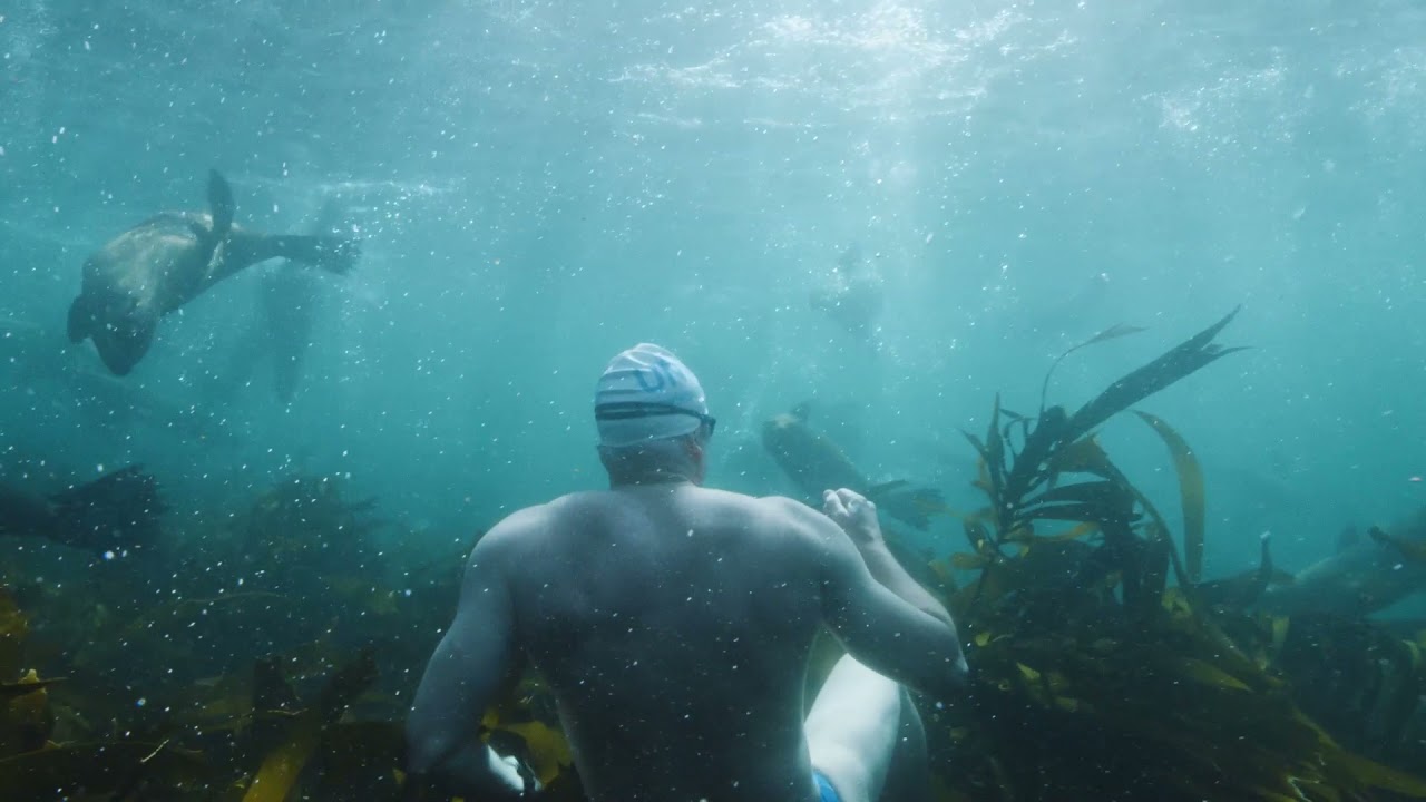 Lewis Pugh | World Oceans Day 2021