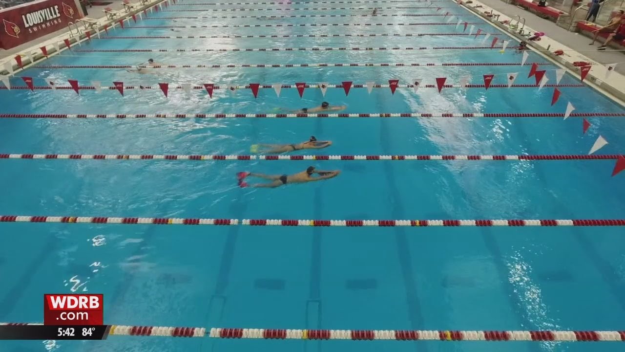 Nick Albiero Working Toward Another Milestone for U of L Swimming | WDRB News – Official