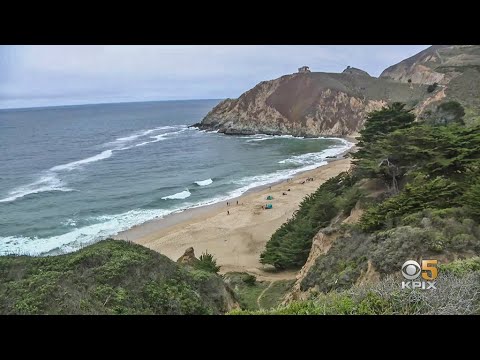 Swimmer Attacked by Great White Shark at Gray Whale Cove | KPIX CBS SF Bay Area