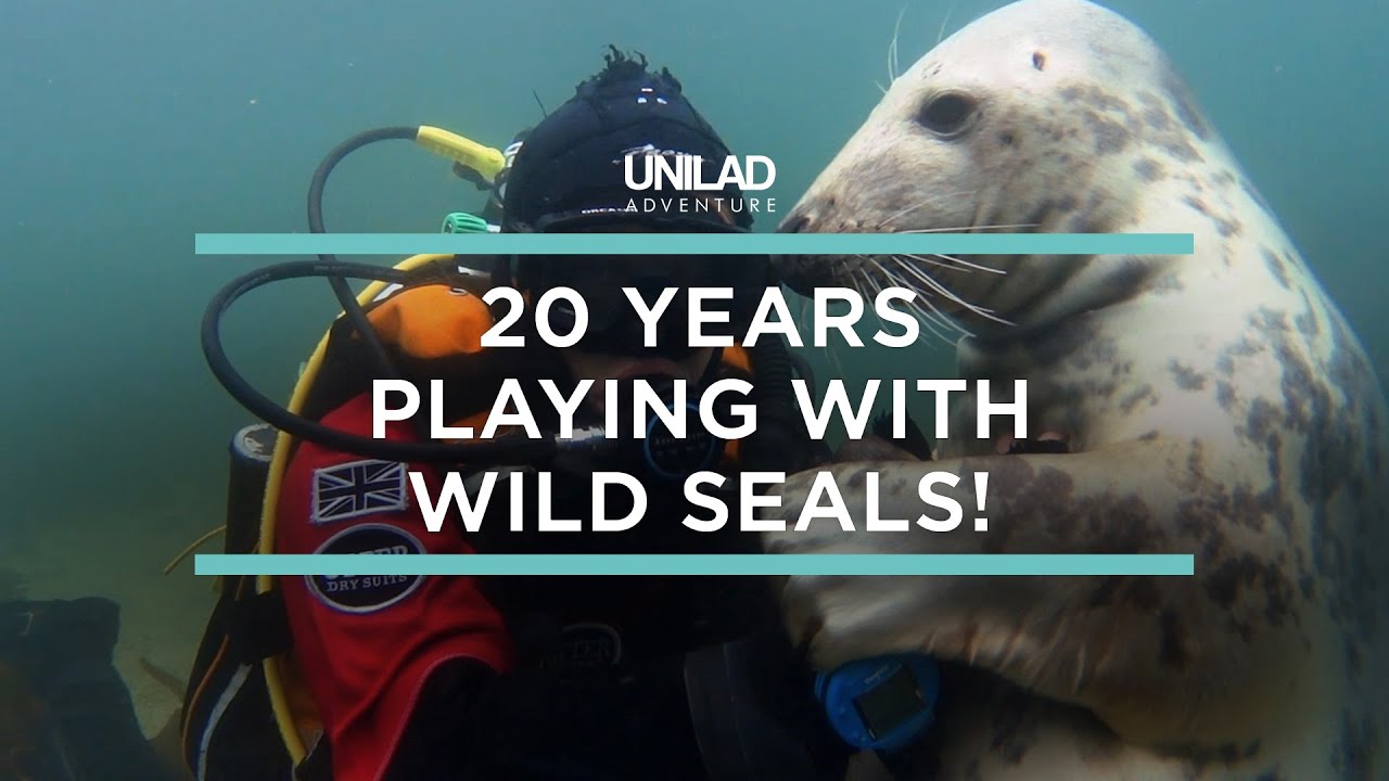What It’s Like To Swim With Wild Seals For 20 Years | UNILAD Adventure