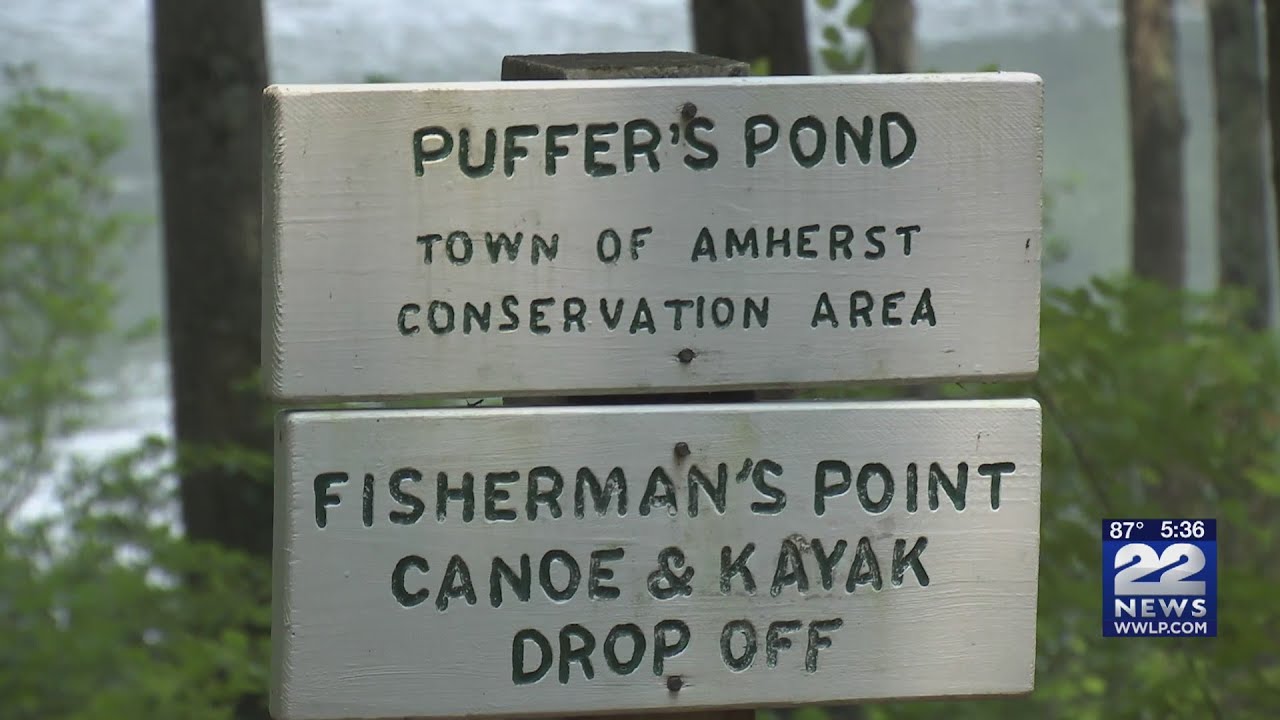 Beaches at Pufferâ€™s Pond Closed to Swimming | WWLP-22News