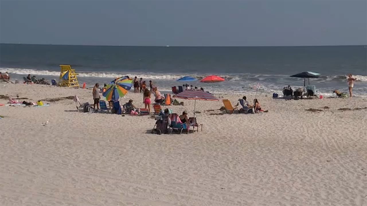 Long Island Town Closes Beaches After Sharks Spotted | Eyewitness News ABC7NY